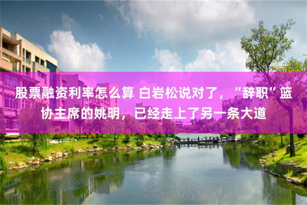 股票融资利率怎么算 白岩松说对了，“辞职”篮协主席的姚明，已经走上了另一条大道