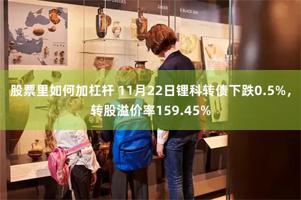 股票里如何加杠杆 11月22日锂科转债下跌0.5%，转股溢价率159.45%