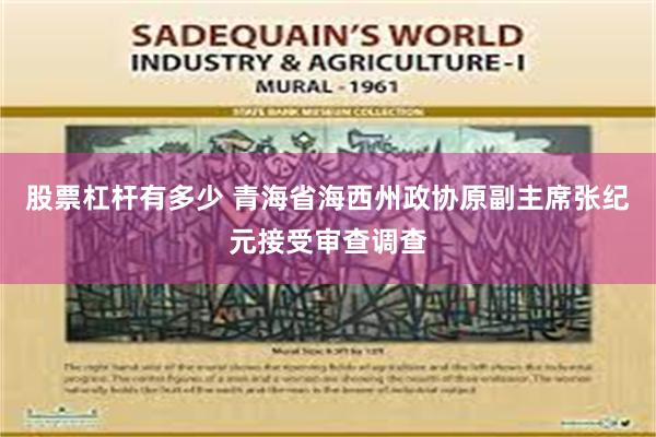 股票杠杆有多少 青海省海西州政协原副主席张纪元接受审查调查