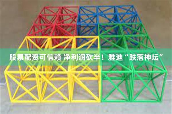股票配资可信赖 净利润砍半！雅迪“跌落神坛”