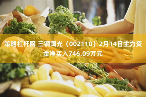 策略杠杆网 三钢闽光（002110）2月14日主力资金净买入746.09万元