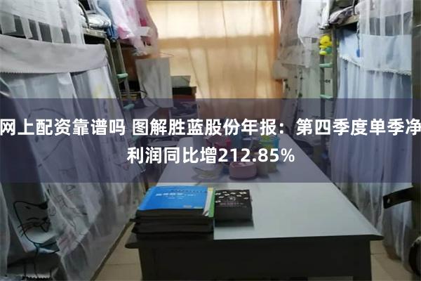 网上配资靠谱吗 图解胜蓝股份年报：第四季度单季净利润同比增212.85%