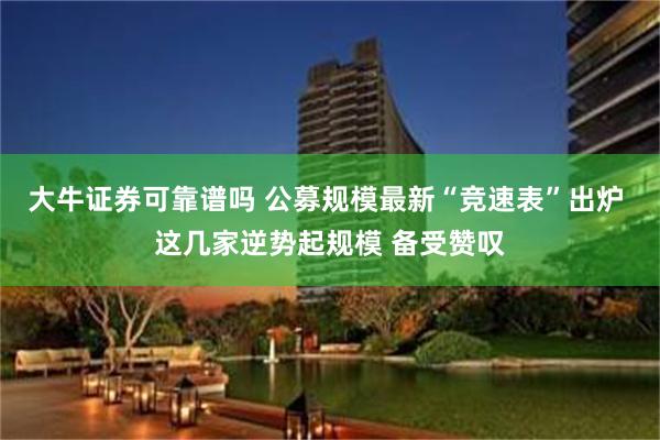 大牛证券可靠谱吗 公募规模最新“竞速表”出炉 这几家逆势起规模 备受赞叹
