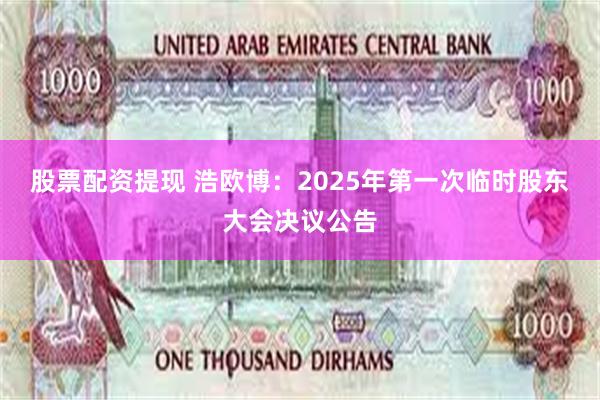 股票配资提现 浩欧博：2025年第一次临时股东大会决议公告