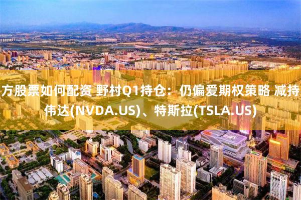 杨方股票如何配资 野村Q1持仓：仍偏爱期权策略 减持英伟达(NVDA.US)、特斯拉(TSLA.US)