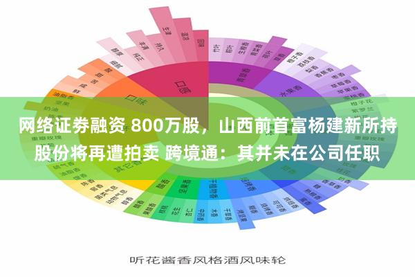 网络证劵融资 800万股，山西前首富杨建新所持股份将再遭拍卖 跨境通：其并未在公司任职