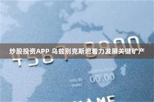 炒股投资APP 乌兹别克斯坦着力发展关键矿产