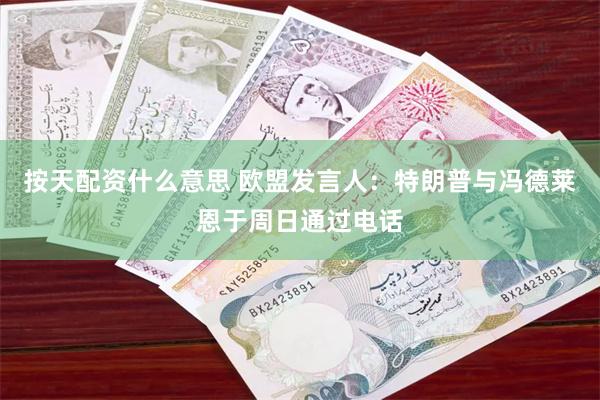 按天配资什么意思 欧盟发言人：特朗普与冯德莱恩于周日通过电话
